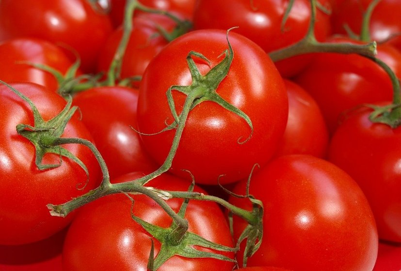 tomatoes-3563440_960_720