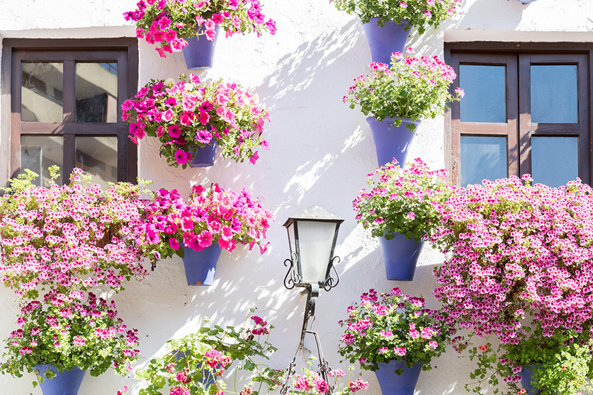 Córdoba se llena de flores cuando llega mayo.