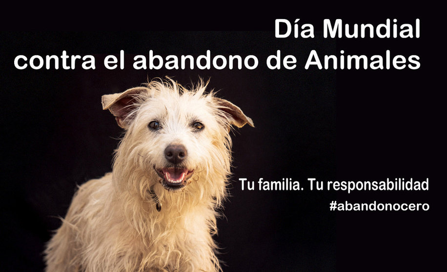 Cartel contra el abandono de animales. Foto: Cristina Cunquero. Ayuntamiento de Huelva