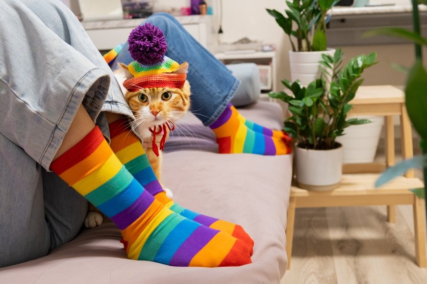 El 28 de junio se celebra el Día del Orgullo LGTBQI+.